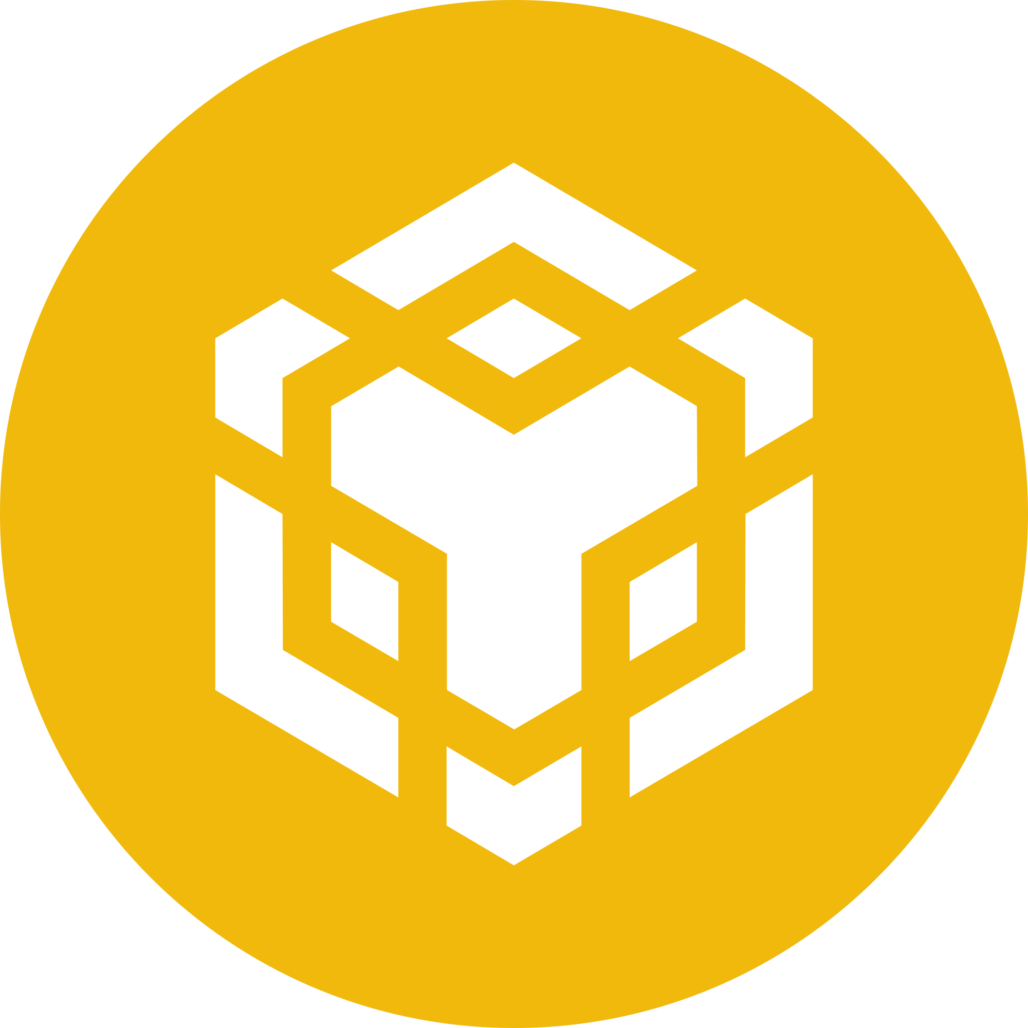 Partner Logo